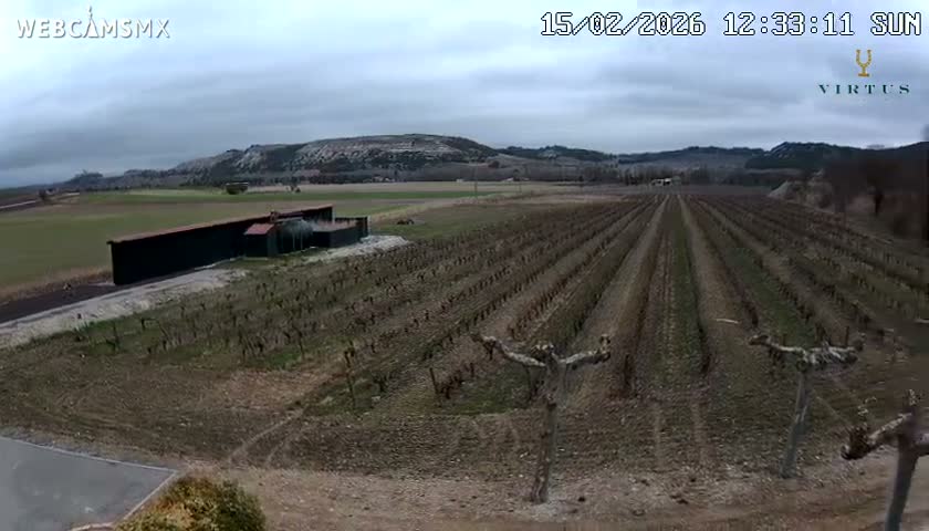 (Virtus Wineries)  Bodegas Virtus ,Ribera del Duero Live Cam - Valladolid, Castilla & Leon, Spain