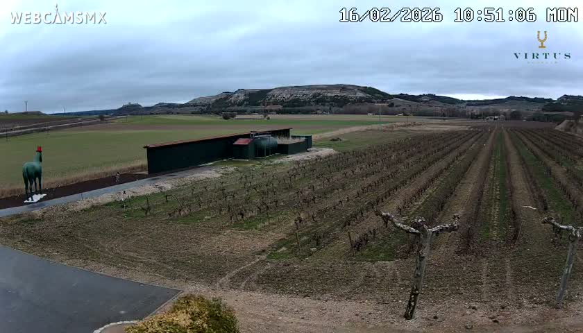 (Virtus Wineries)  Bodegas Virtus ,Ribera del Duero Live Cam - Valladolid, Castilla & Leon, Spain