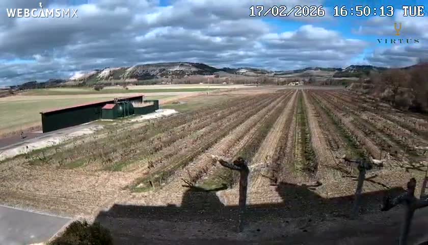 (Virtus Wineries)  Bodegas Virtus ,Ribera del Duero Live Cam - Valladolid, Castilla & Leon, Spain
