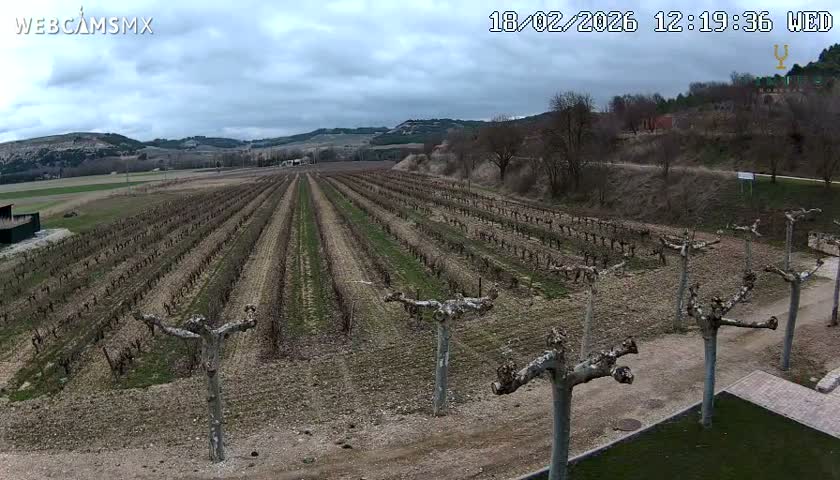 (Virtus Wineries)  Bodegas Virtus ,Ribera del Duero Live Cam - Valladolid, Castilla & Leon, Spain