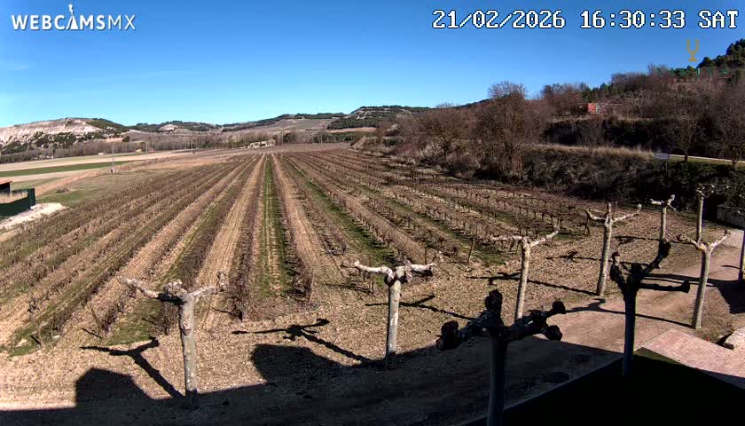 (Virtus Wineries)  Bodegas Virtus ,Ribera del Duero Live Cam - Valladolid, Castilla & Leon, Spain