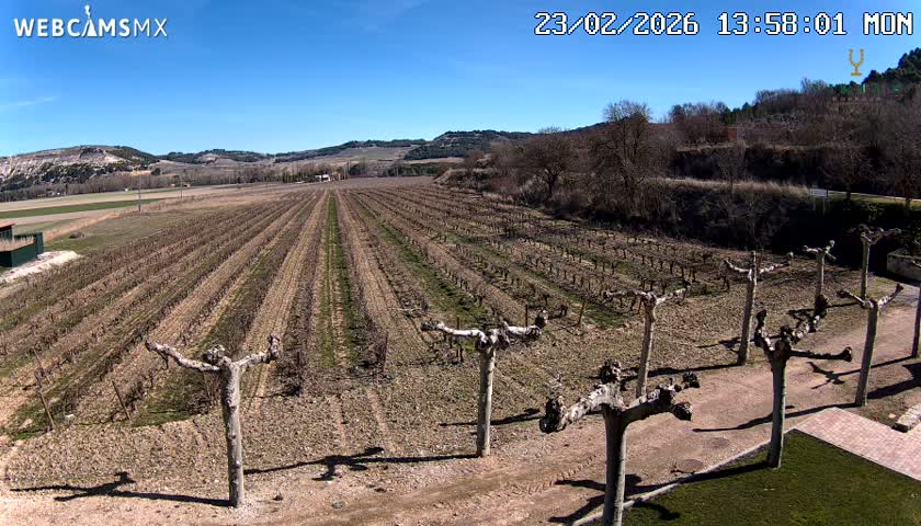 (Virtus Wineries)  Bodegas Virtus ,Ribera del Duero Live Cam - Valladolid, Castilla & Leon, Spain