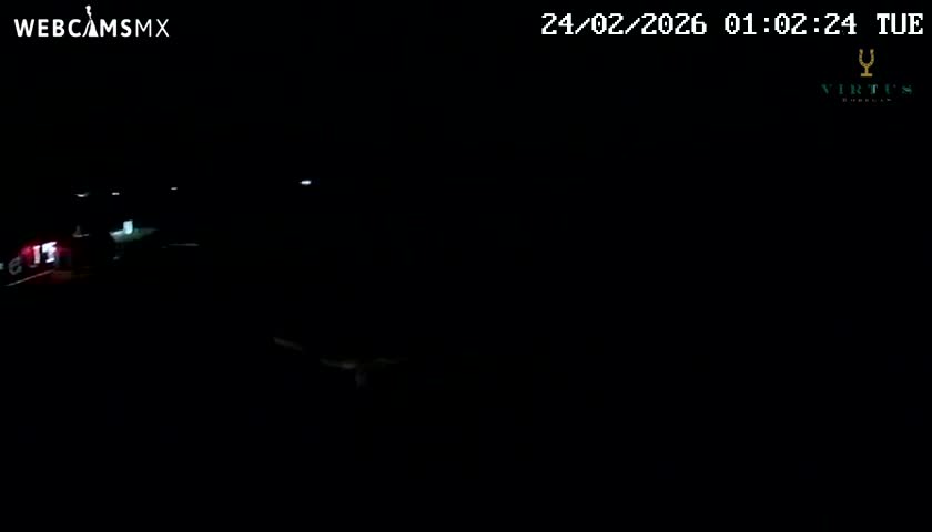 (Virtus Wineries)  Bodegas Virtus ,Ribera del Duero Live Cam - Valladolid, Castilla & Leon, Spain
