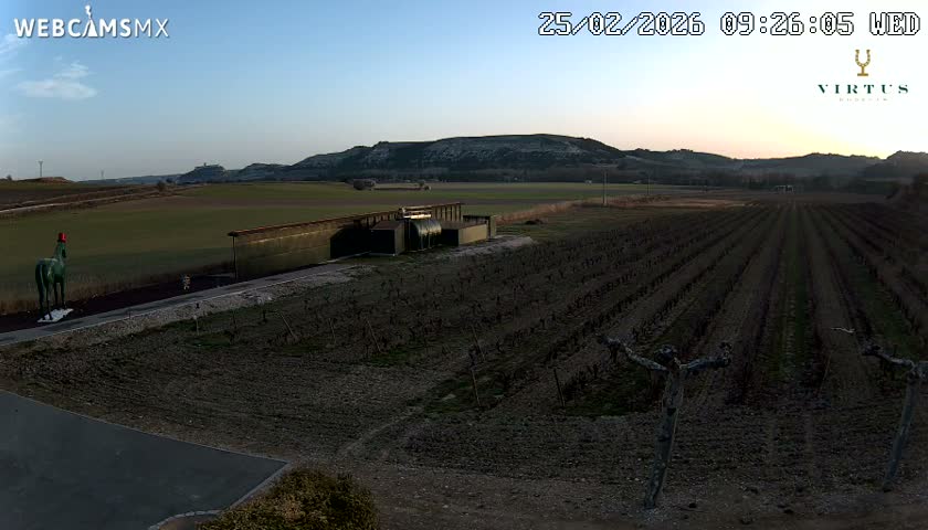 (Virtus Wineries)  Bodegas Virtus ,Ribera del Duero Live Cam - Valladolid, Castilla & Leon, Spain