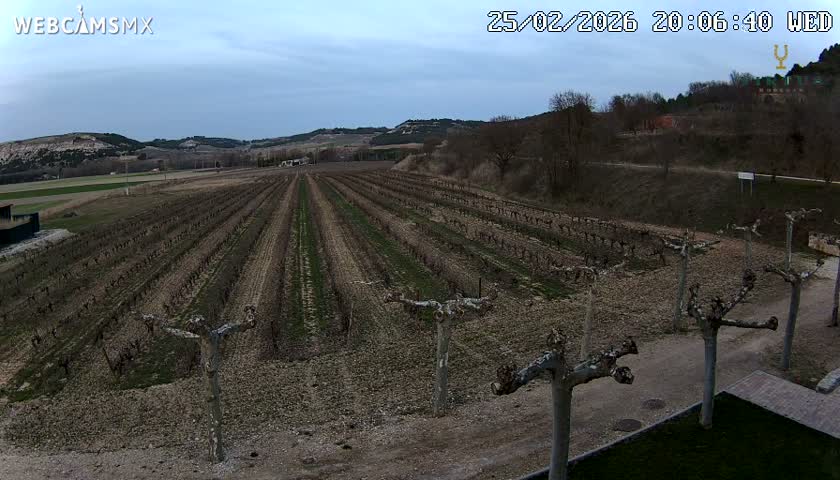 (Virtus Wineries)  Bodegas Virtus ,Ribera del Duero Live Cam - Valladolid, Castilla & Leon, Spain