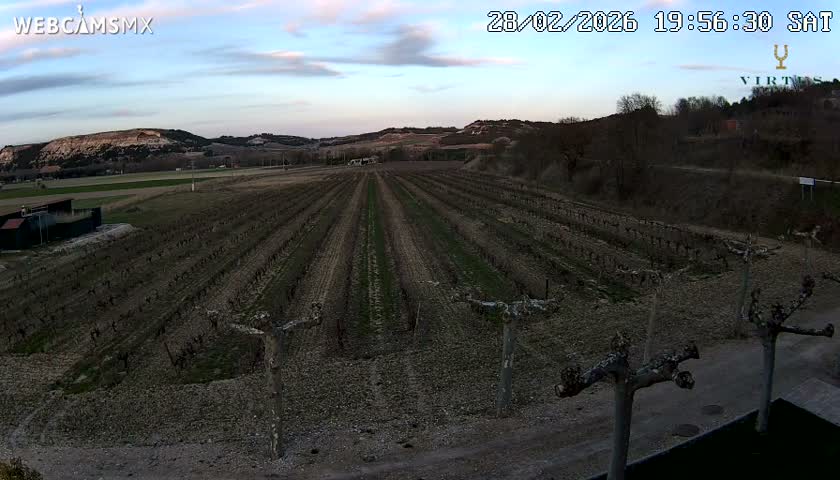 (Virtus Wineries)  Bodegas Virtus ,Ribera del Duero Live Cam - Valladolid, Castilla & Leon, Spain