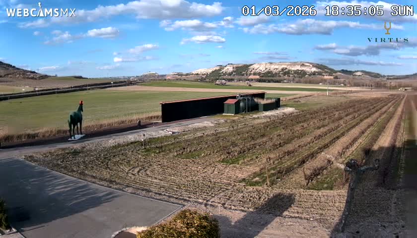(Virtus Wineries)  Bodegas Virtus ,Ribera del Duero Live Cam - Valladolid, Castilla & Leon, Spain
