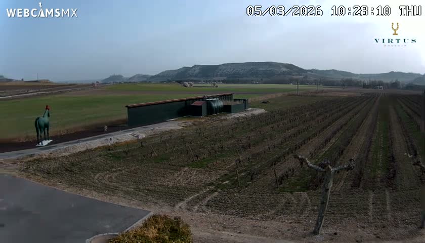 (Virtus Wineries)  Bodegas Virtus ,Ribera del Duero Live Cam - Valladolid, Castilla & Leon, Spain