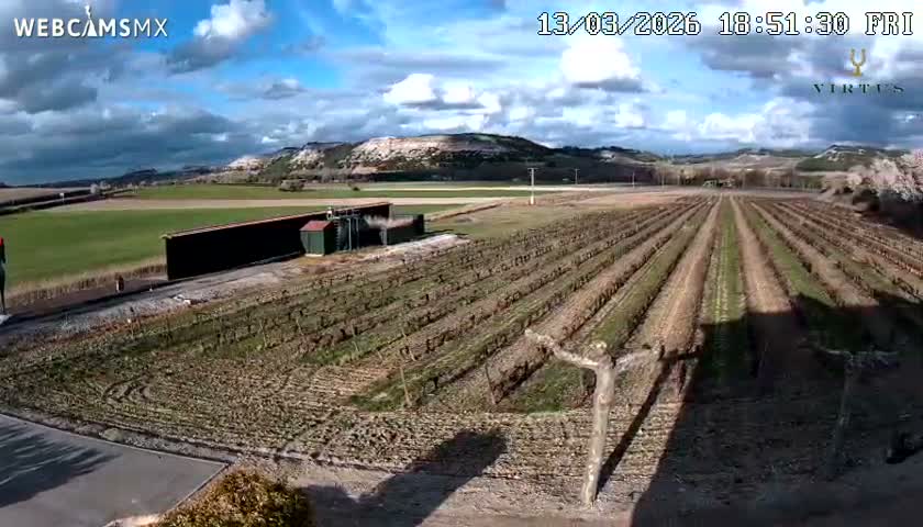 (Virtus Wineries)  Bodegas Virtus ,Ribera del Duero Live Cam - Valladolid, Castilla & Leon, Spain