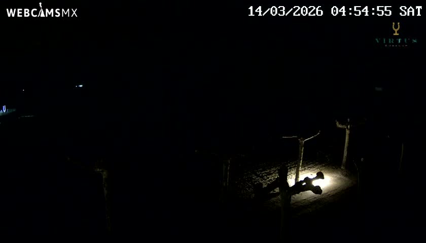 (Virtus Wineries)  Bodegas Virtus ,Ribera del Duero Live Cam - Valladolid, Castilla & Leon, Spain