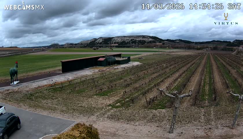 (Virtus Wineries)  Bodegas Virtus ,Ribera del Duero Live Cam - Valladolid, Castilla & Leon, Spain