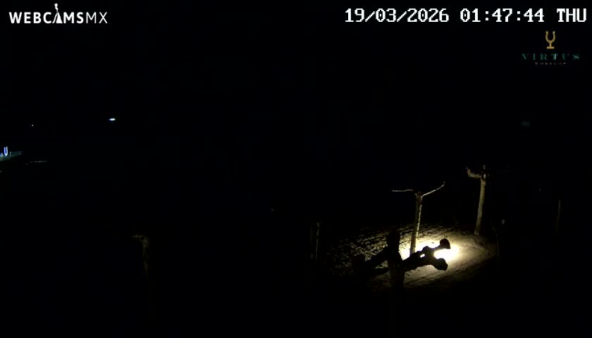 (Virtus Wineries)  Bodegas Virtus ,Ribera del Duero Live Cam - Valladolid, Castilla & Leon, Spain