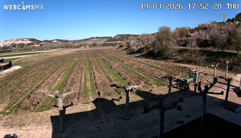 (Virtus Wineries)  Bodegas Virtus ,Ribera del Duero Live Cam - Valladolid, Castilla & Leon, Spain