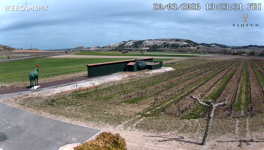 (Virtus Wineries)  Bodegas Virtus ,Ribera del Duero Live Cam - Valladolid, Castilla & Leon, Spain