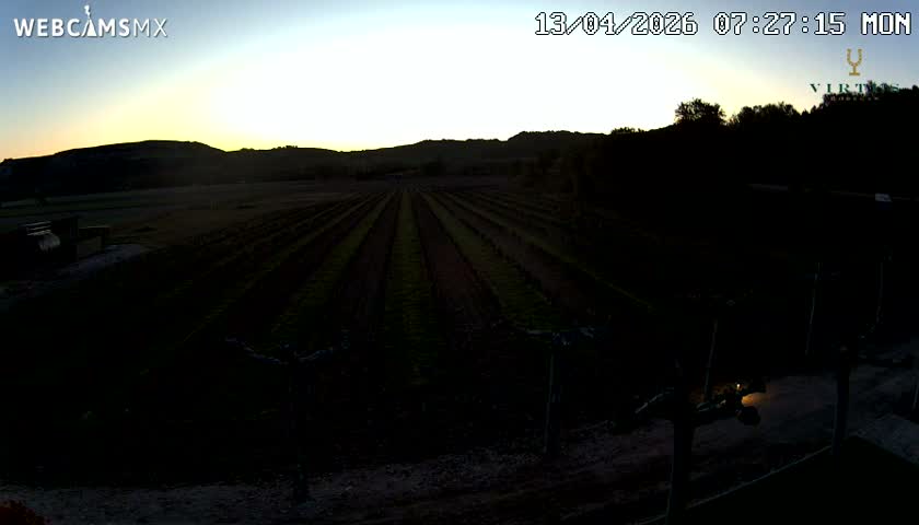 (Virtus Wineries)  Bodegas Virtus ,Ribera del Duero Live Cam - Valladolid, Castilla & Leon, Spain