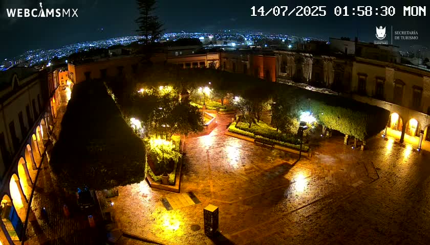 A rain-slicked, illuminated plaza at night, surrounded by buildings and featuring landscaped areas with trees and shrubs, overlooks a distant city skyline.