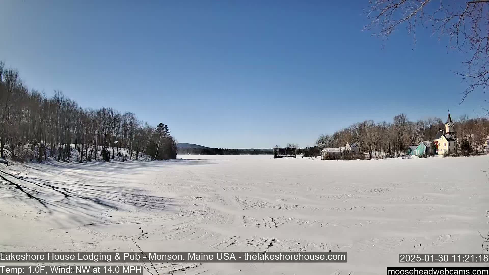 A frozen lake stretches out under a clear blue sky, with a small village and snow-covered trees visible in the distance.