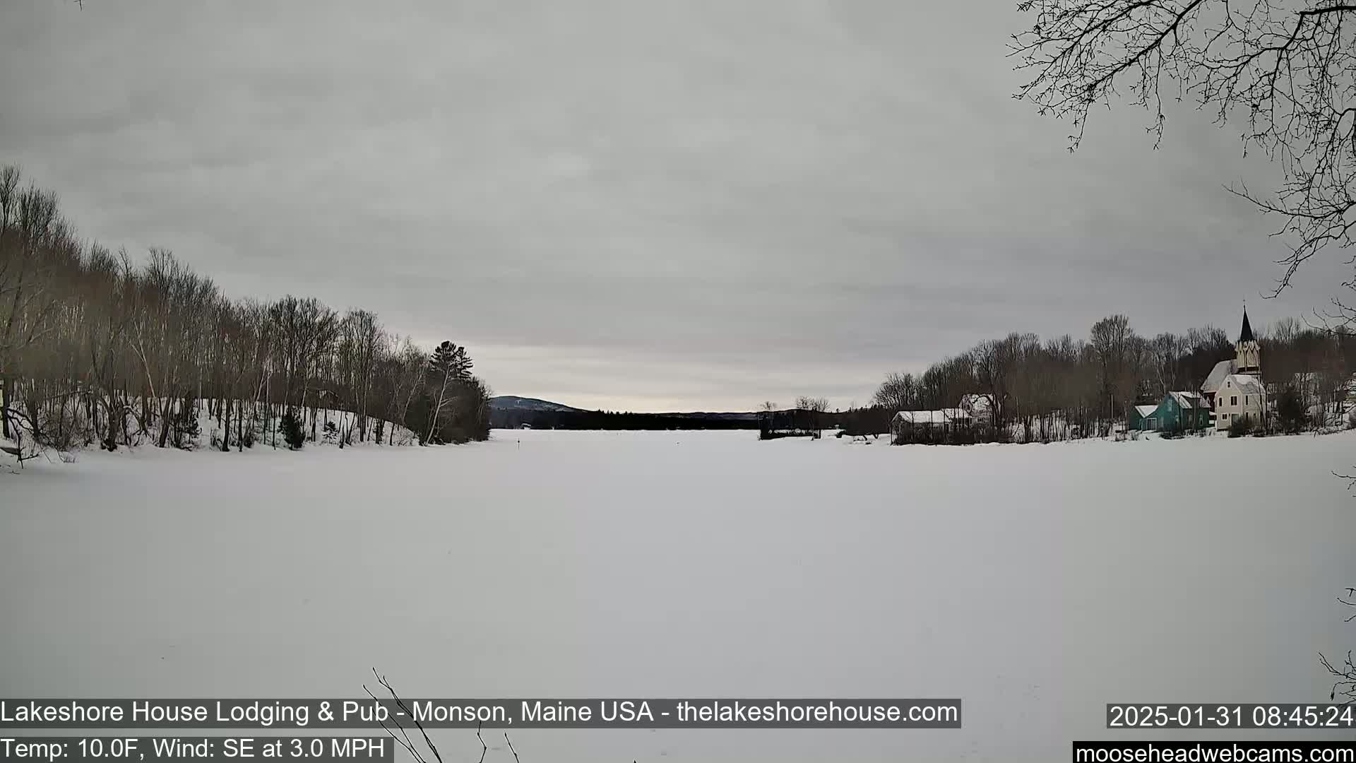 A frozen lake stretches out under a gray sky, with bare trees lining the shore and buildings visible on the opposite side.