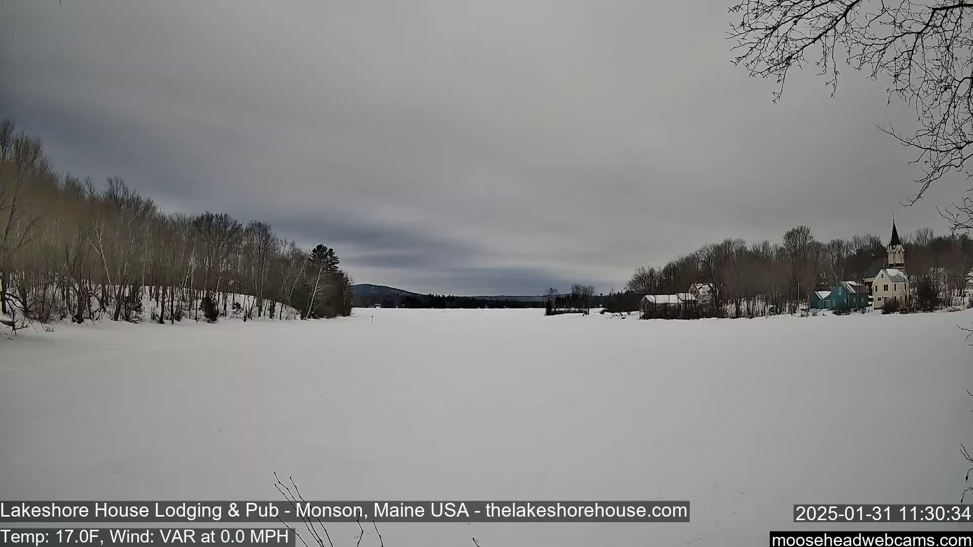 A frozen lake stretches to a snow-covered shoreline with bare trees and buildings under a cloudy, gray sky.