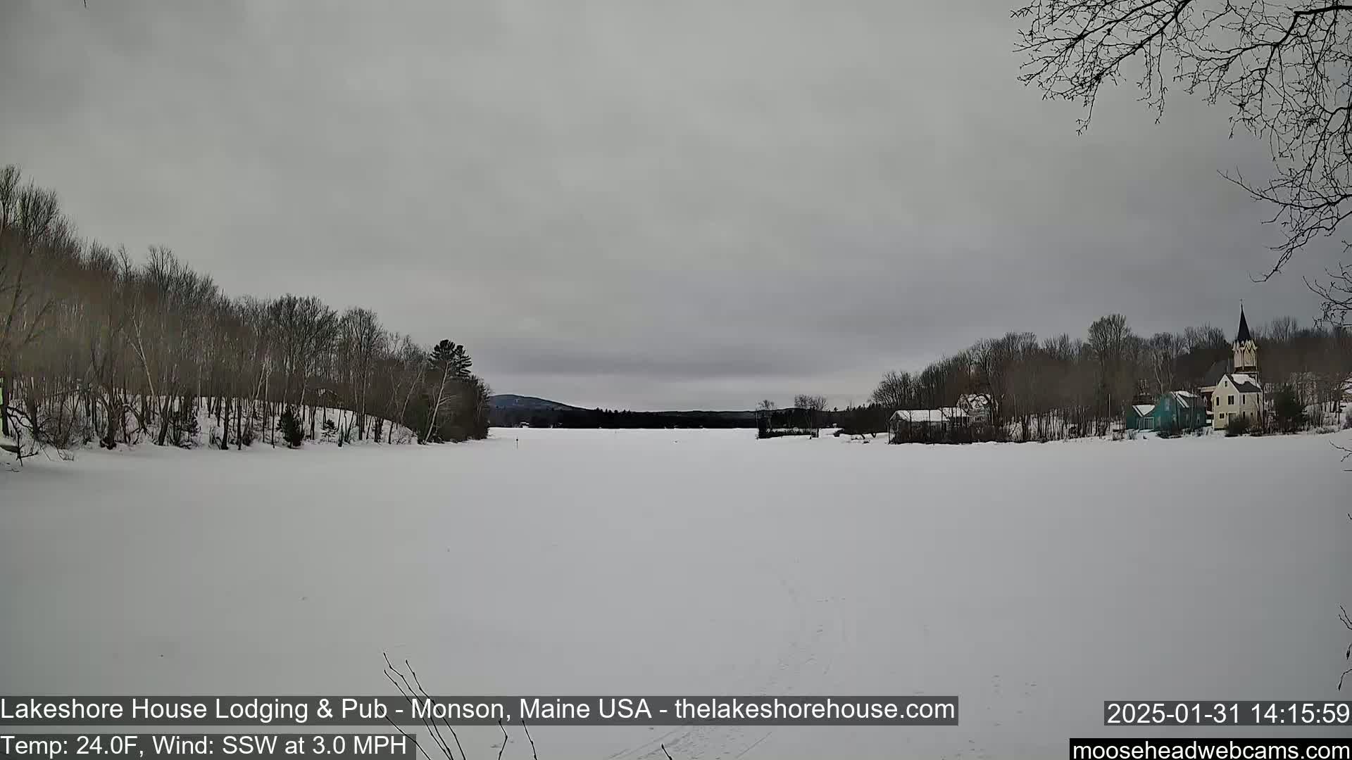A snow-covered frozen lake stretches out before a line of bare trees and a small village under an overcast sky.