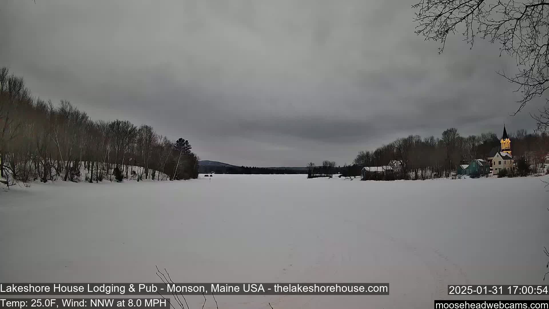 A frozen lake stretches out under a gray sky, with bare trees lining the shore and a small town visible in the distance.