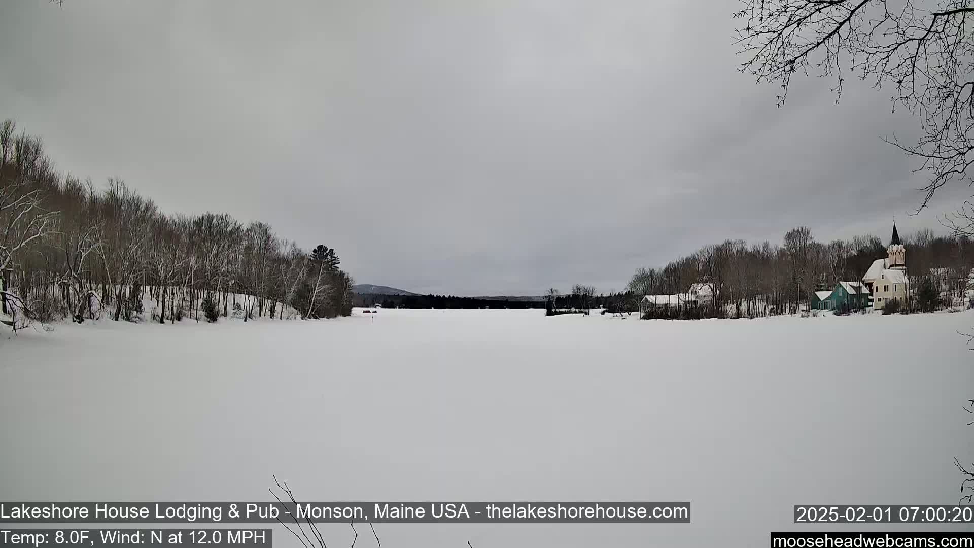A frozen lake stretches out before a snow-covered shoreline of leafless trees and houses under a gray sky.