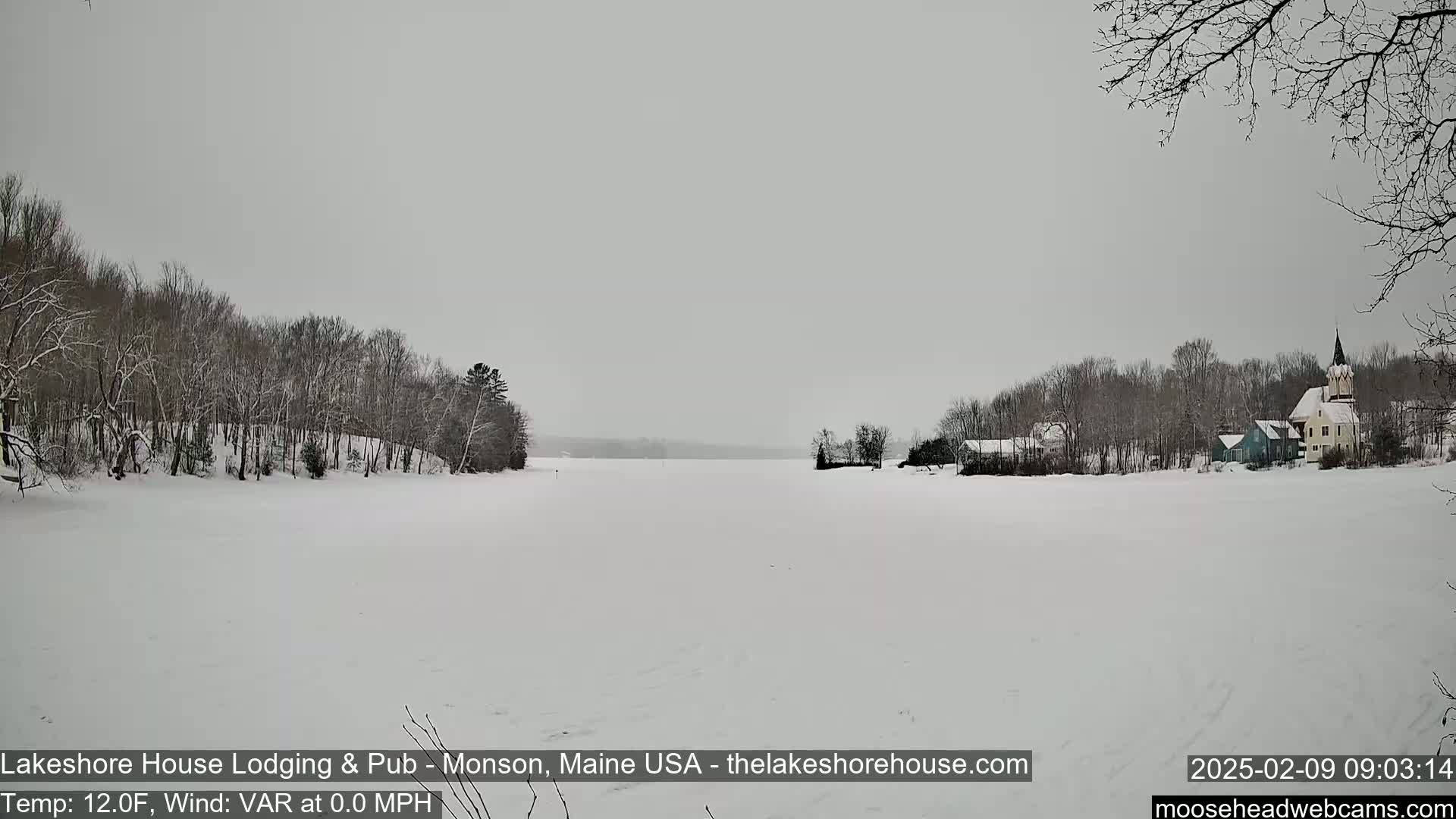 A snow-covered lake stretches out before a line of snow-covered trees and houses, under a gray, overcast sky.