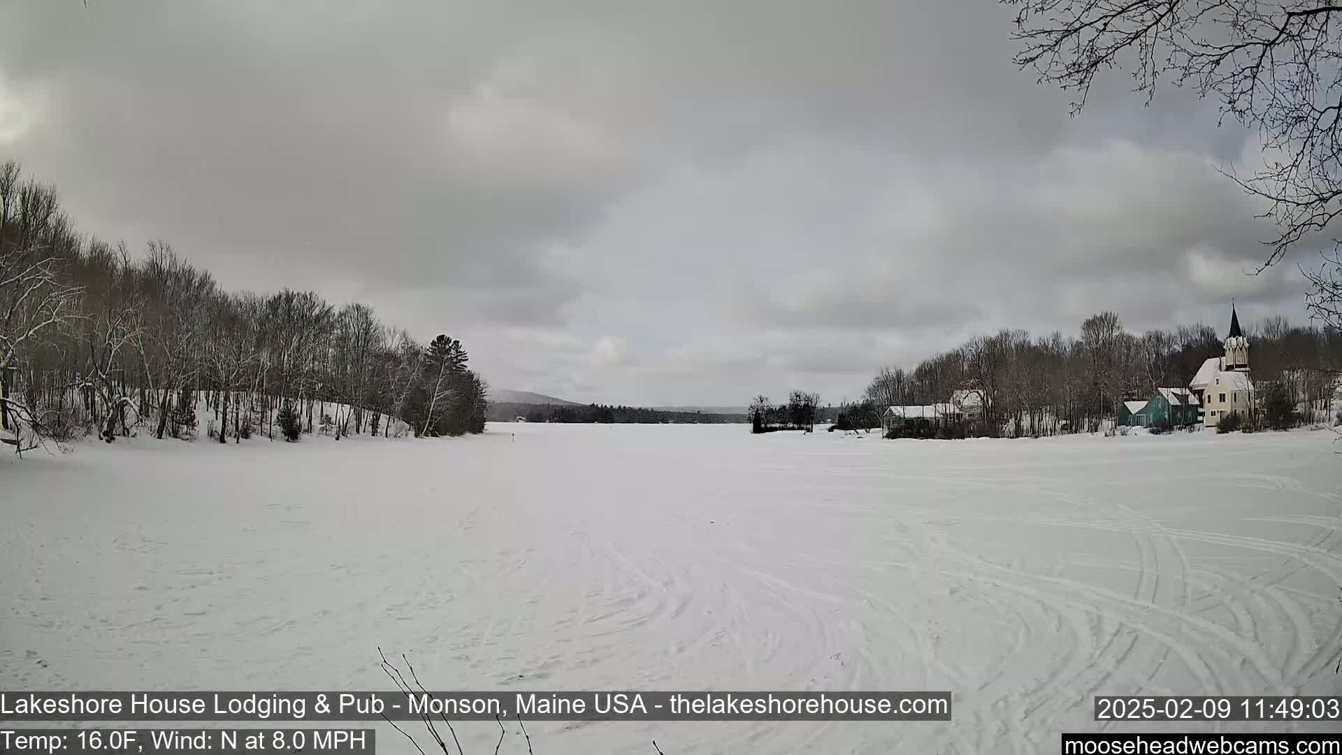 A snow-covered frozen lake stretches out before a line of snow-dusted trees and buildings under a gray, overcast sky.