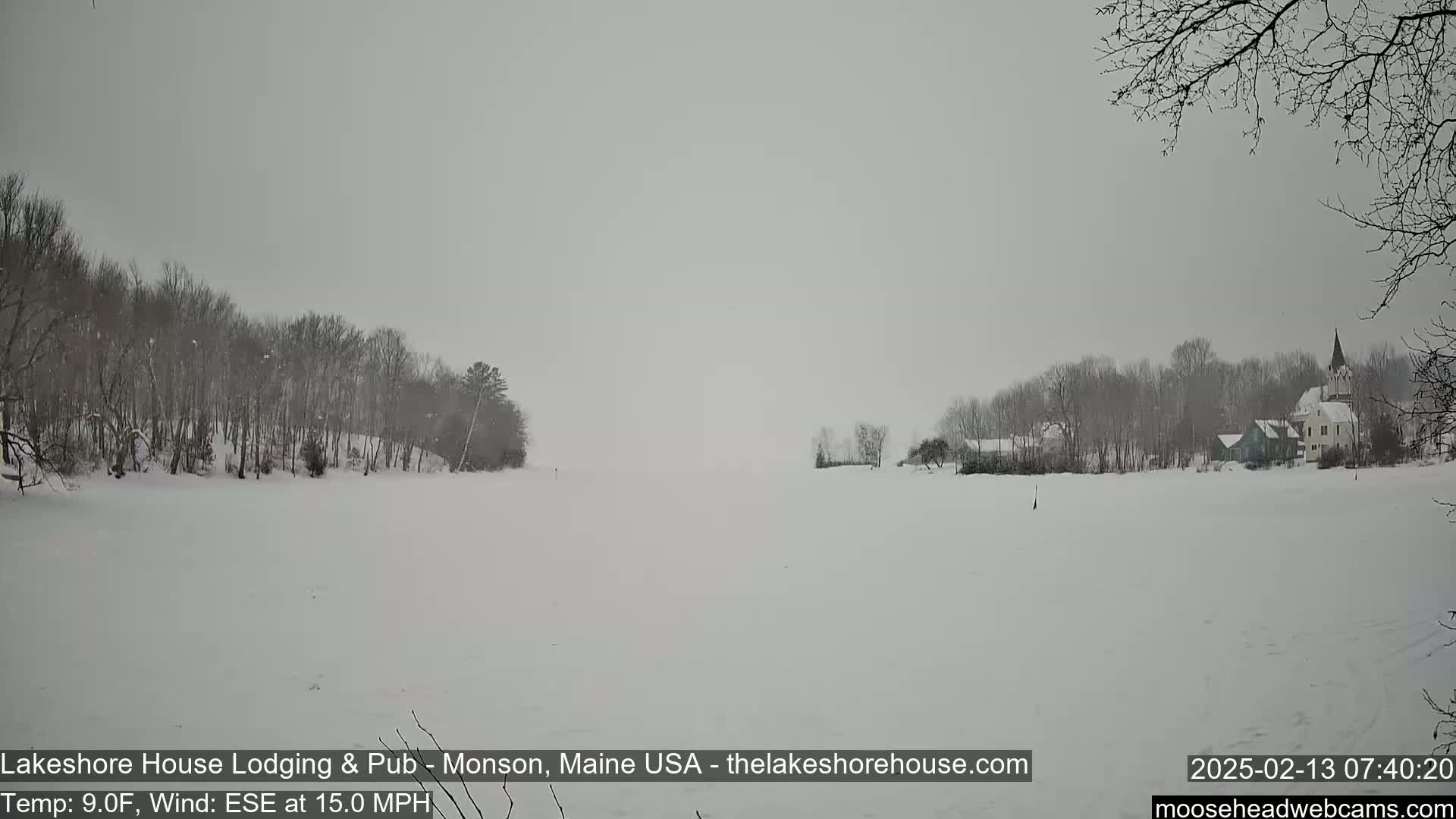 A snow-covered frozen lake is seen with a line of bare trees and buildings in the distance under a gray, snowy sky.