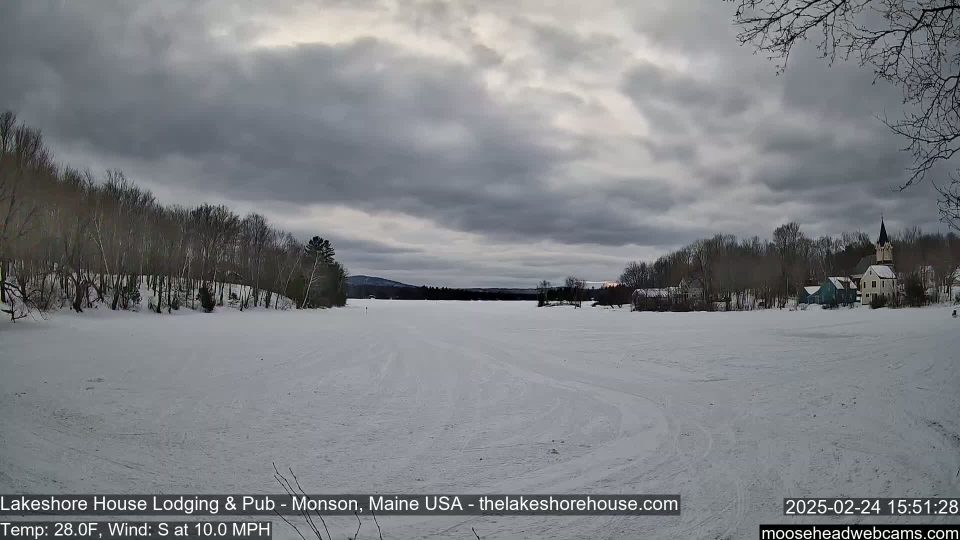 A frozen lake stretches out under a cloudy sky, with bare trees lining the shore and a small town visible in the distance.