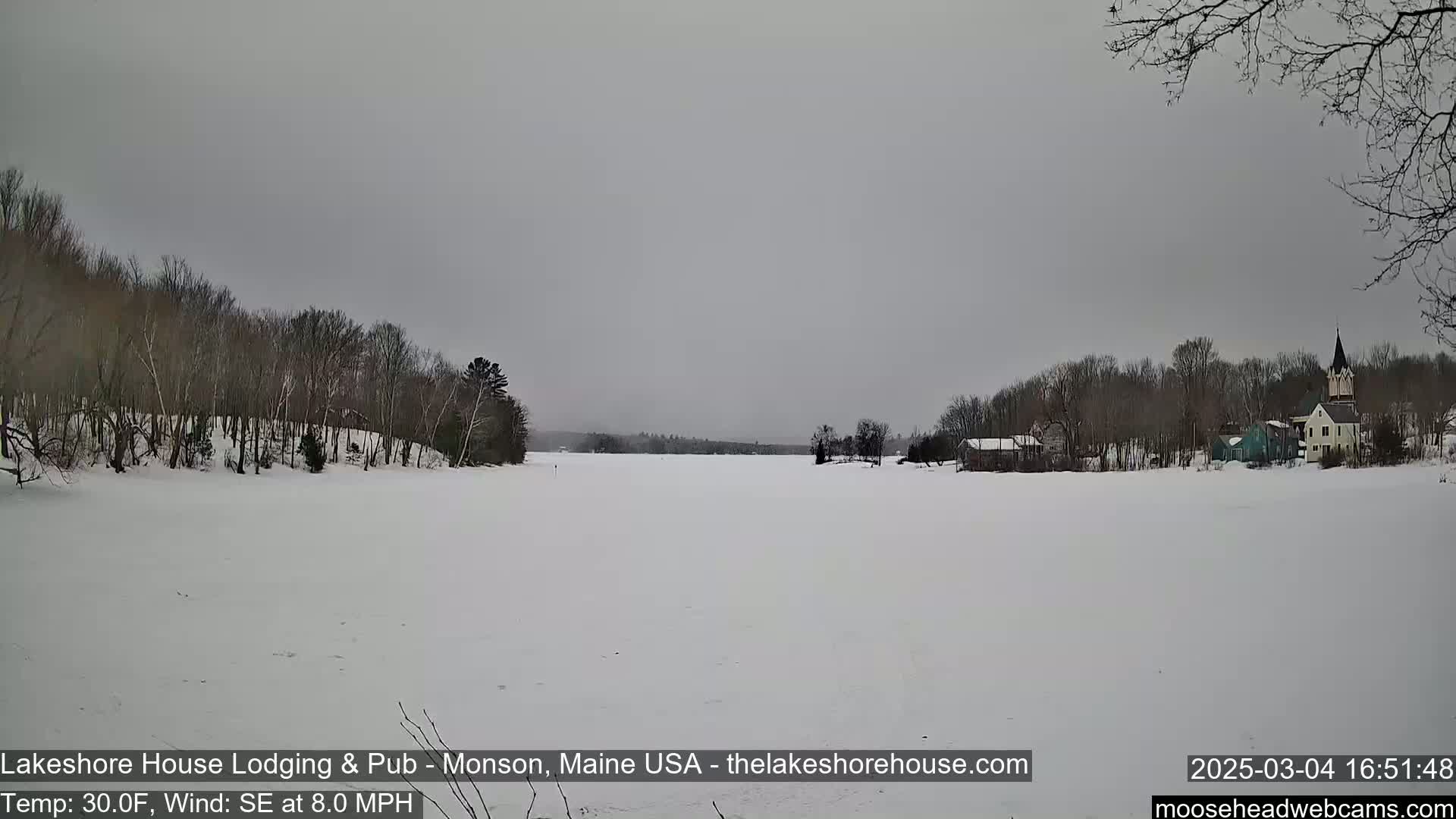 A frozen lake under a gray sky is seen from a distance, with bare winter trees lining the shores and a few buildings visible on the far side.
