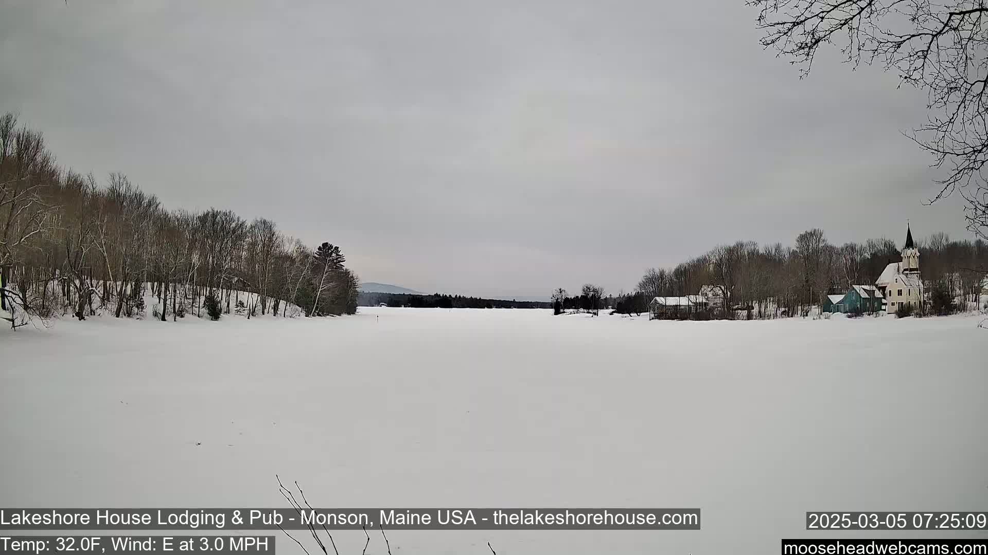 A snow-covered lake stretches out before a line of bare trees and a small village under a gray sky.