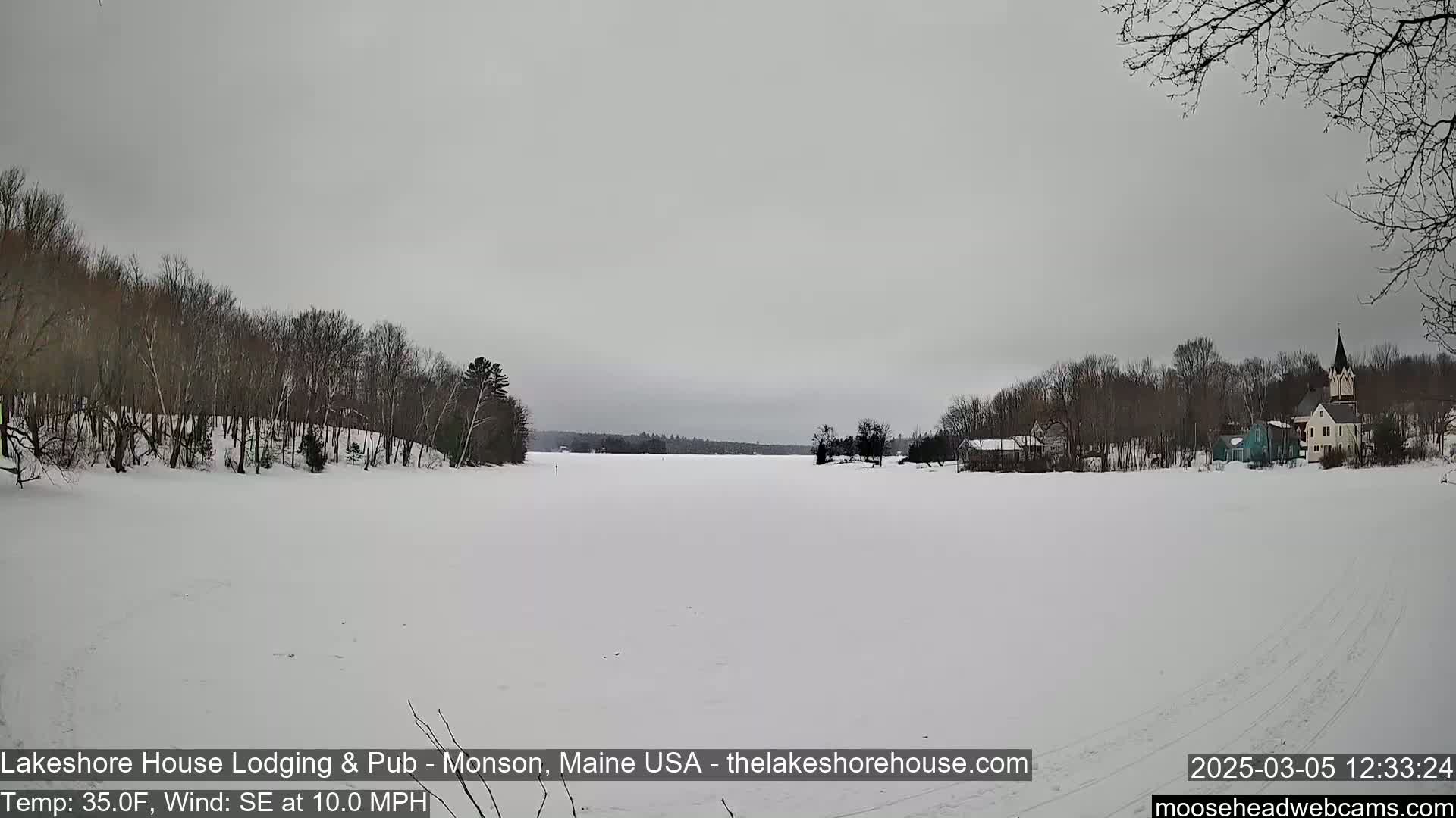 A snow-covered frozen lake stretches out to a village of houses and trees under an overcast sky.