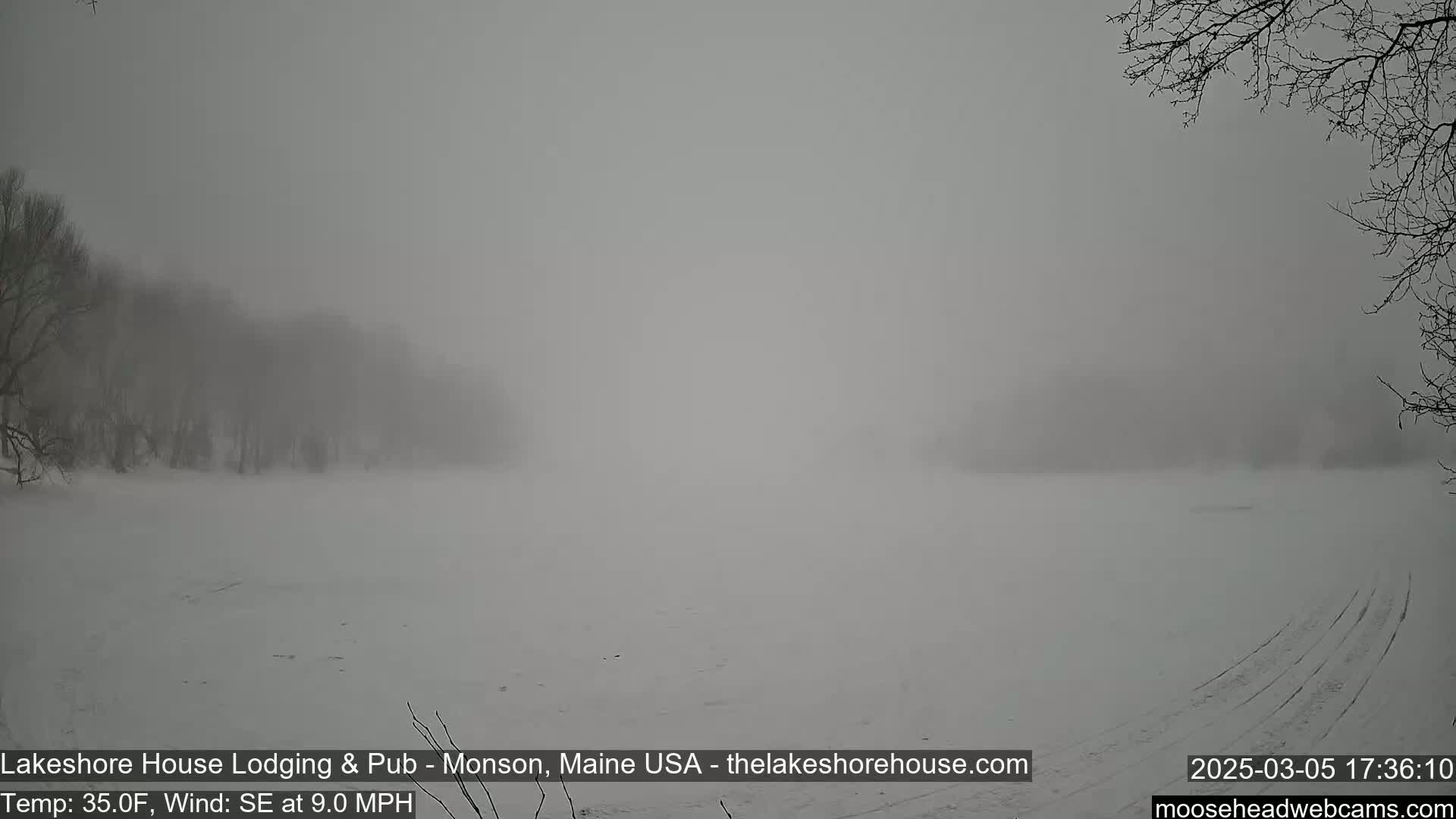 A snow-covered, frozen lake is shrouded in thick fog under a gray sky.