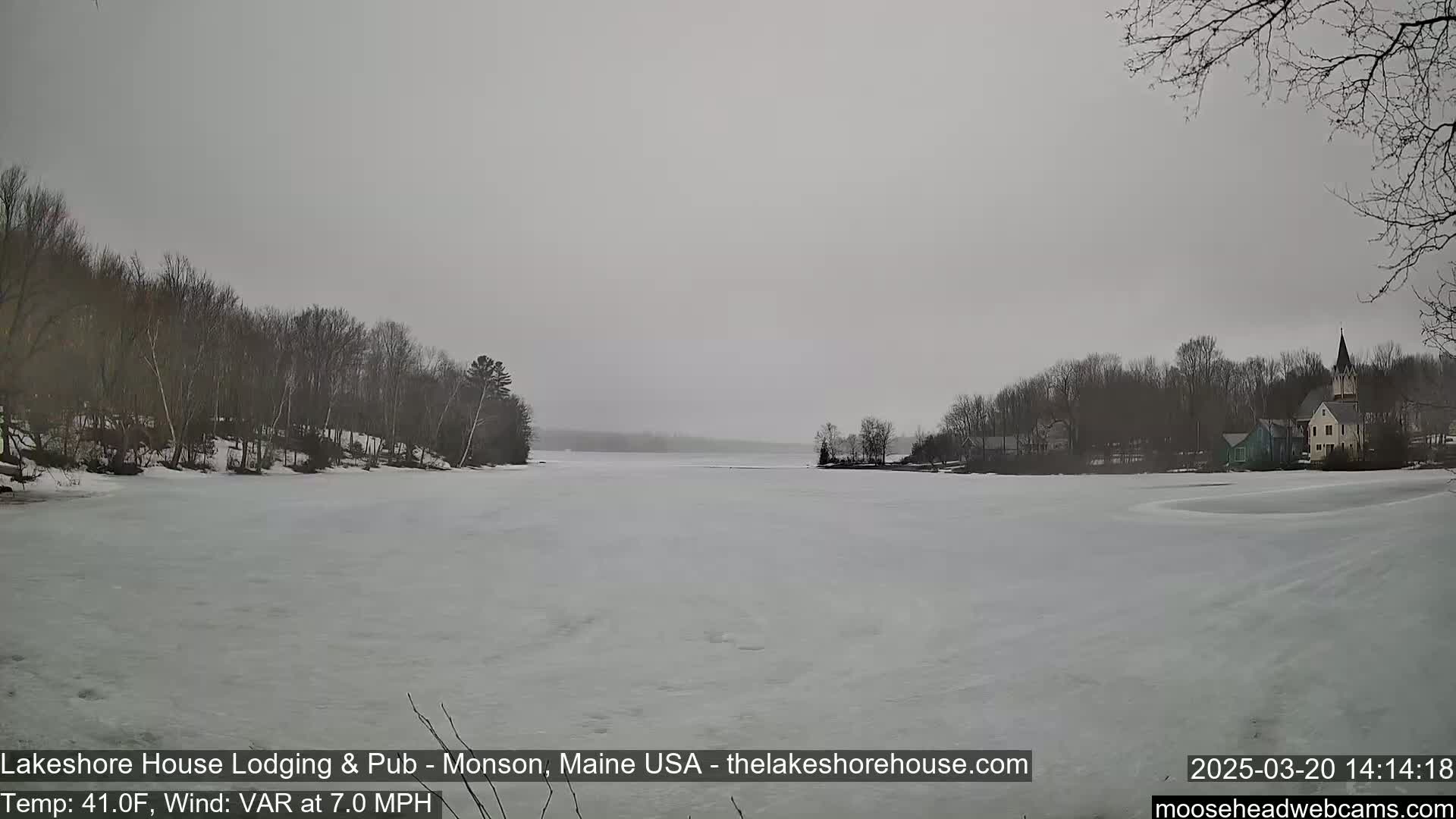 A frozen lake stretches to a distant shoreline with bare trees and buildings under an overcast sky.