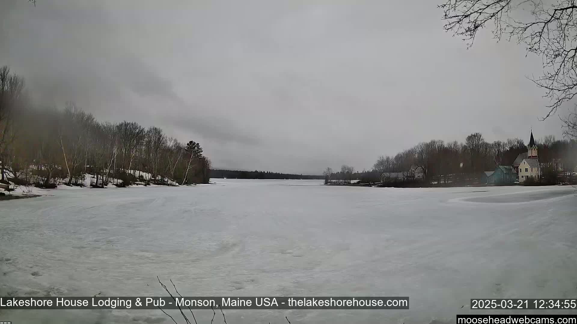 A frozen lake stretches out under an overcast sky, with bare trees lining the shore and a small village visible in the distance.
