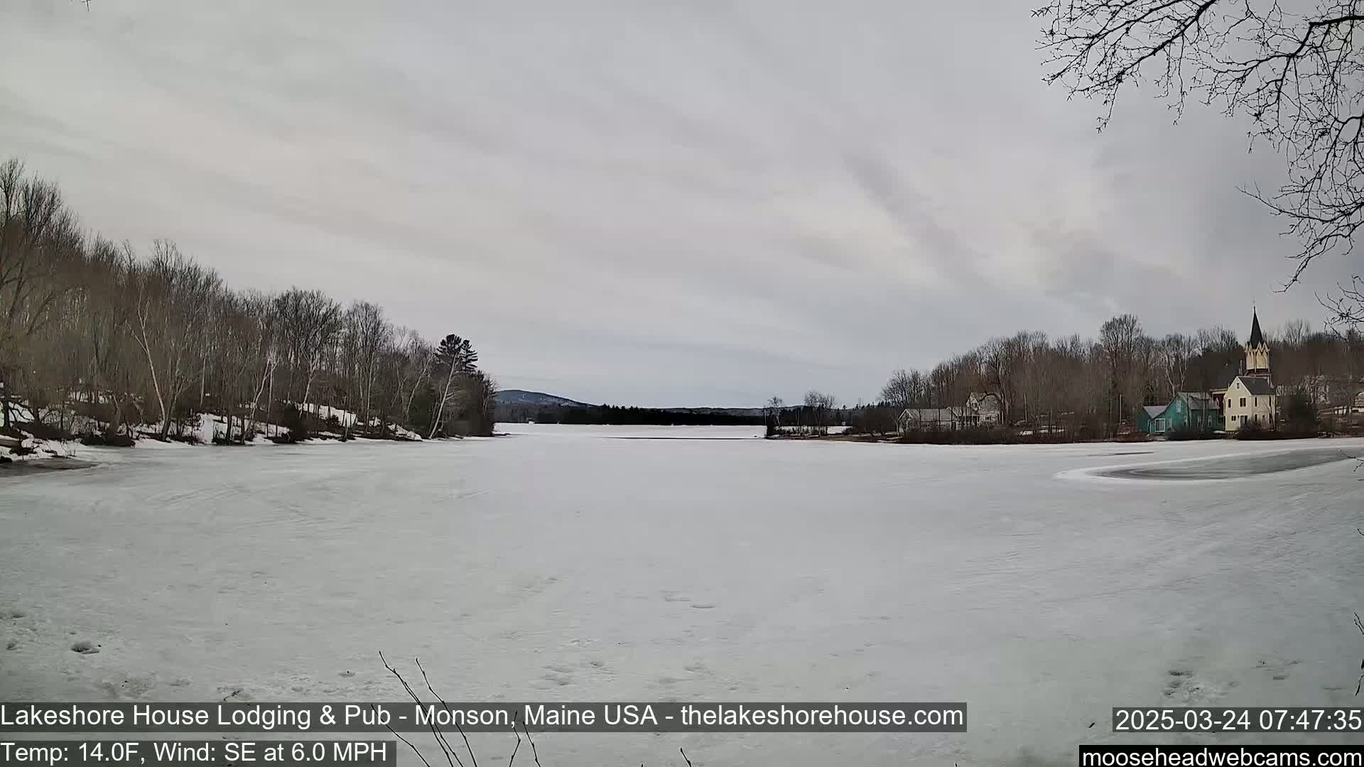 A frozen lake is seen under an overcast sky, with bare trees lining the shore and buildings in the distance.