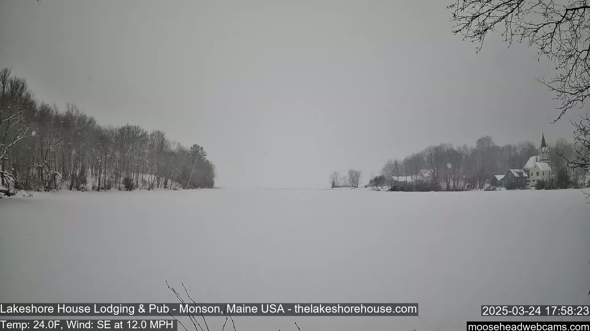 Snow falls on a frozen lake with snow-covered trees and buildings in the background.
