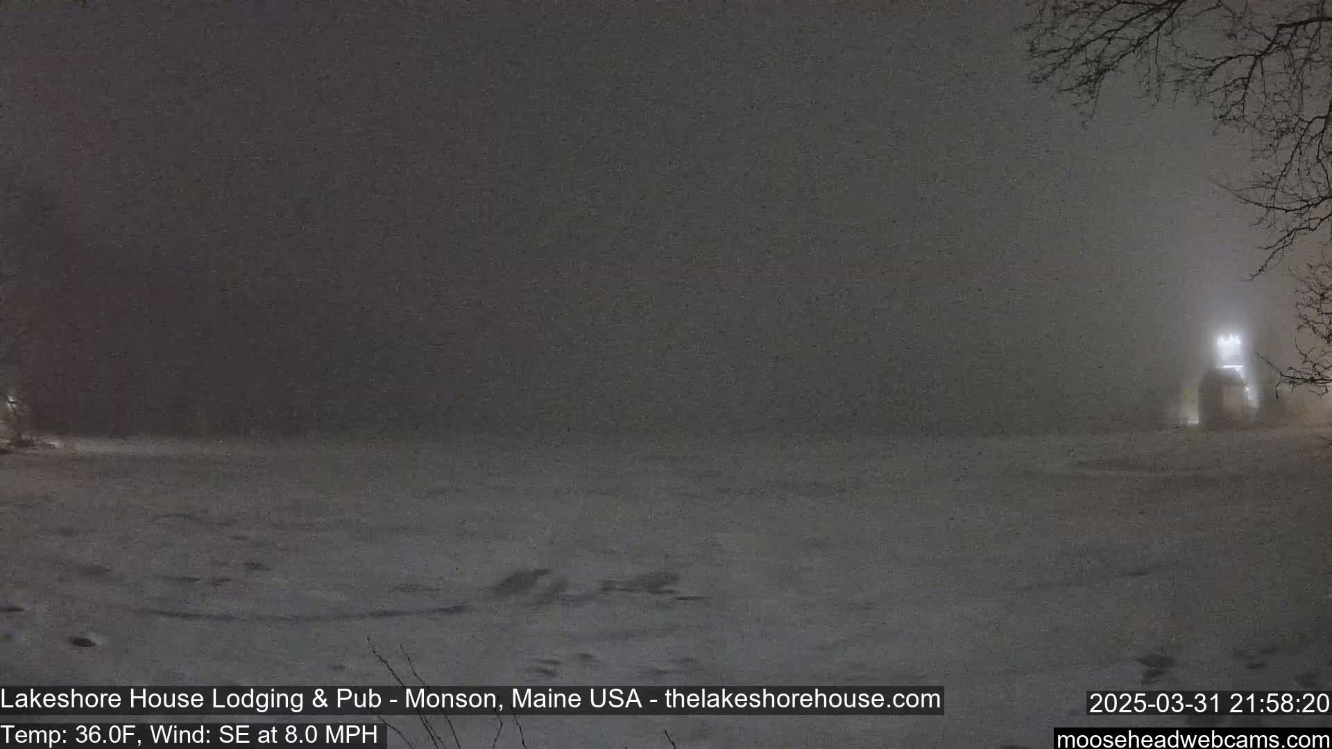 A snow-covered landscape is visible under a dark, snowy sky at night, with a dimly lit building in the distance and bare tree branches in the upper right corner.