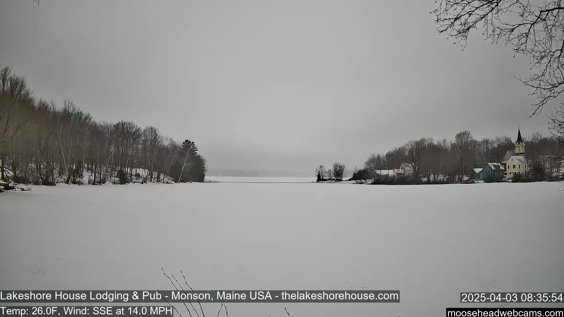 A snow-covered lake stretches to the horizon under an overcast sky, with bare trees lining its shores and a small village visible on the far side.