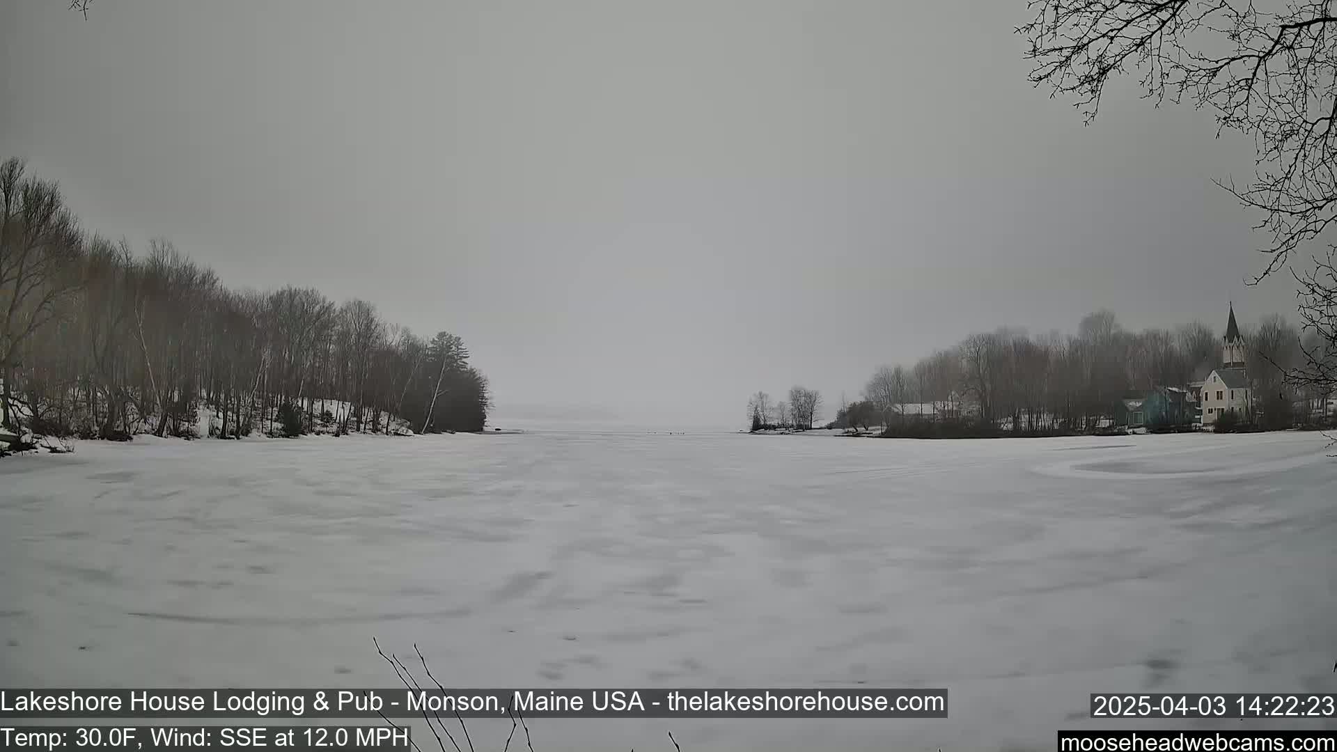 A frozen lake, under an overcast sky, is surrounded by bare trees and a small town with a church steeple in the distance.