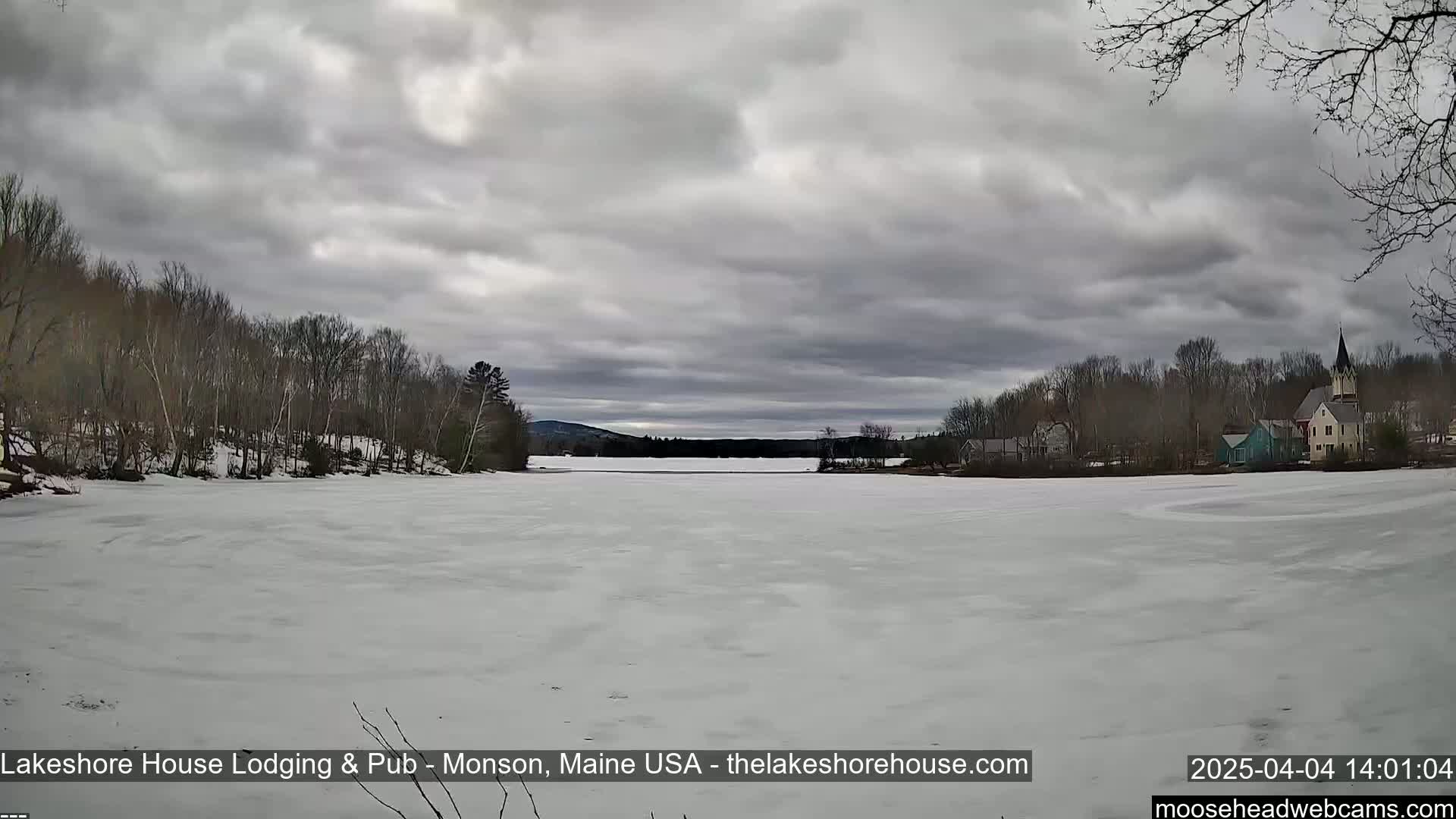 A frozen lake stretches out under a cloudy sky, with bare trees lining the shore and a small town visible in the distance.