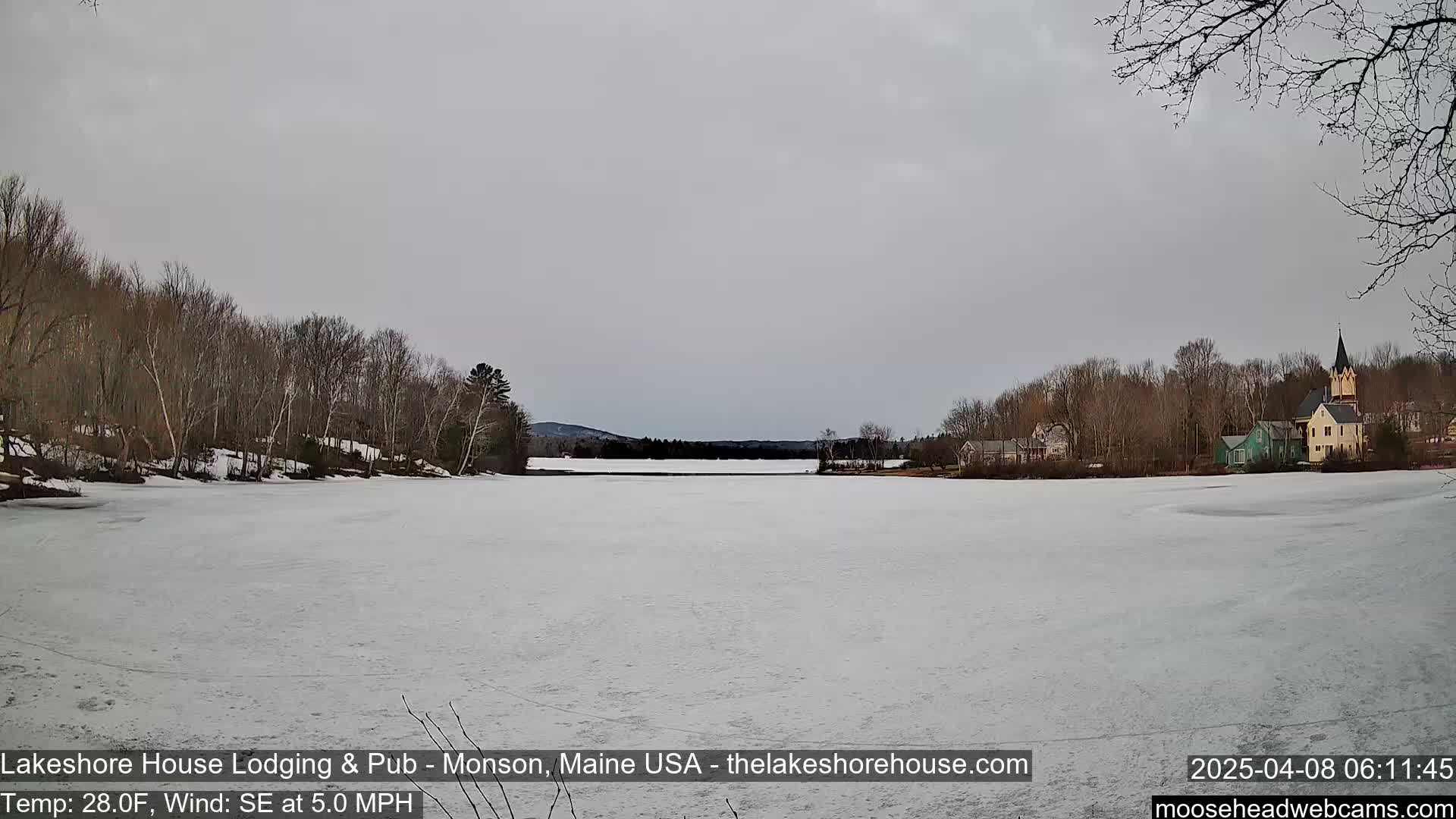 A frozen lake is seen under an overcast sky, with bare trees lining the shore and a small town visible in the distance.