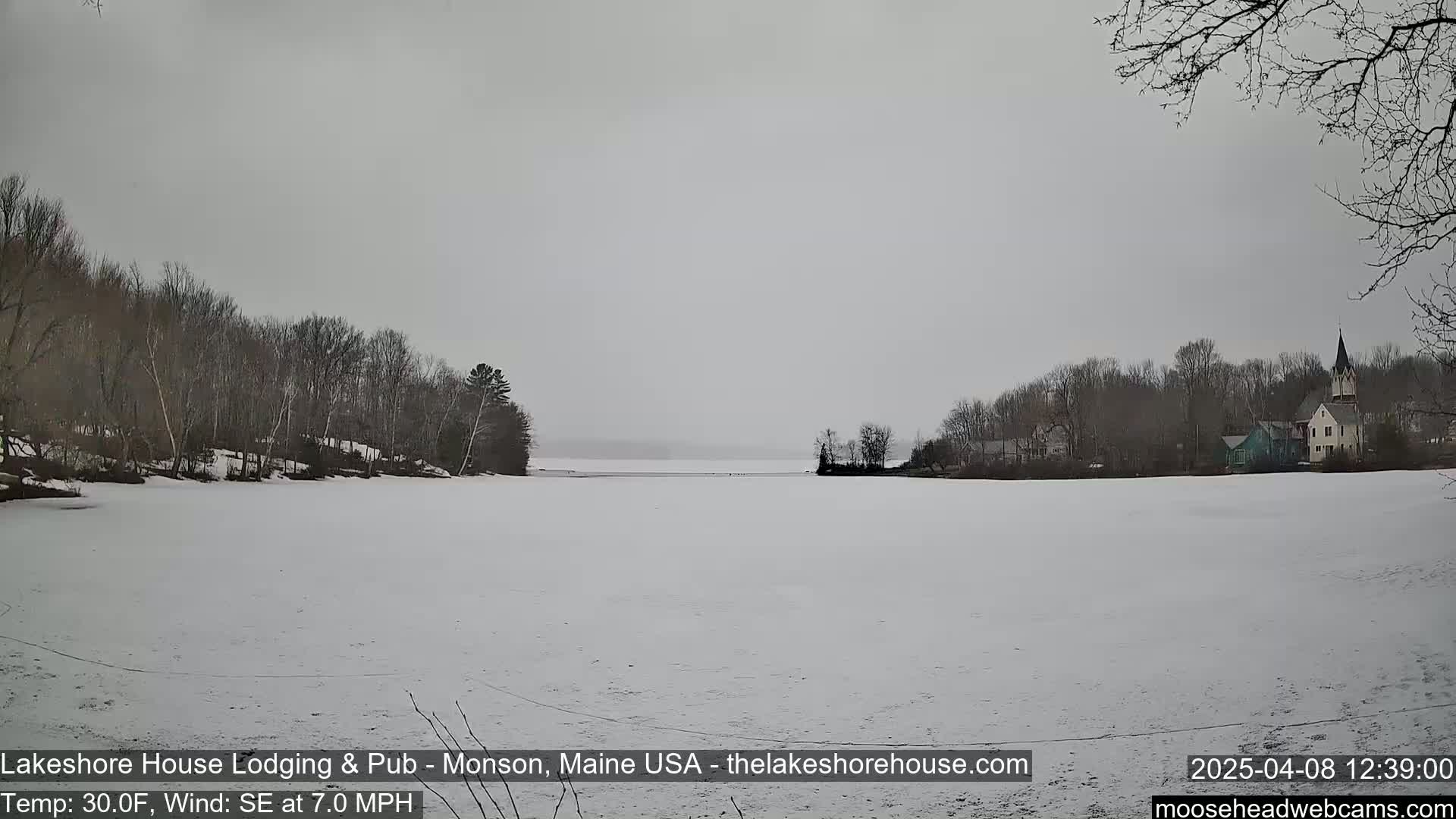 A snow-covered frozen lake stretches out to a distant shoreline of bare trees and buildings under an overcast sky.