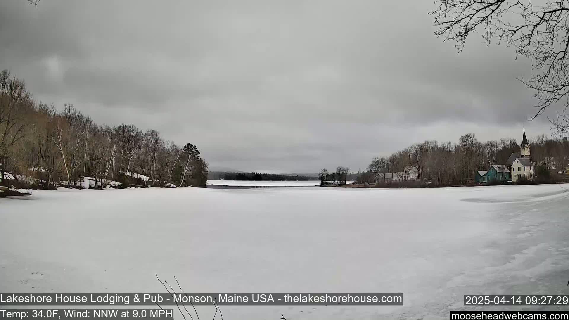 A frozen lake under a gray sky is seen from a shoreline with bare trees and a small village in the background.