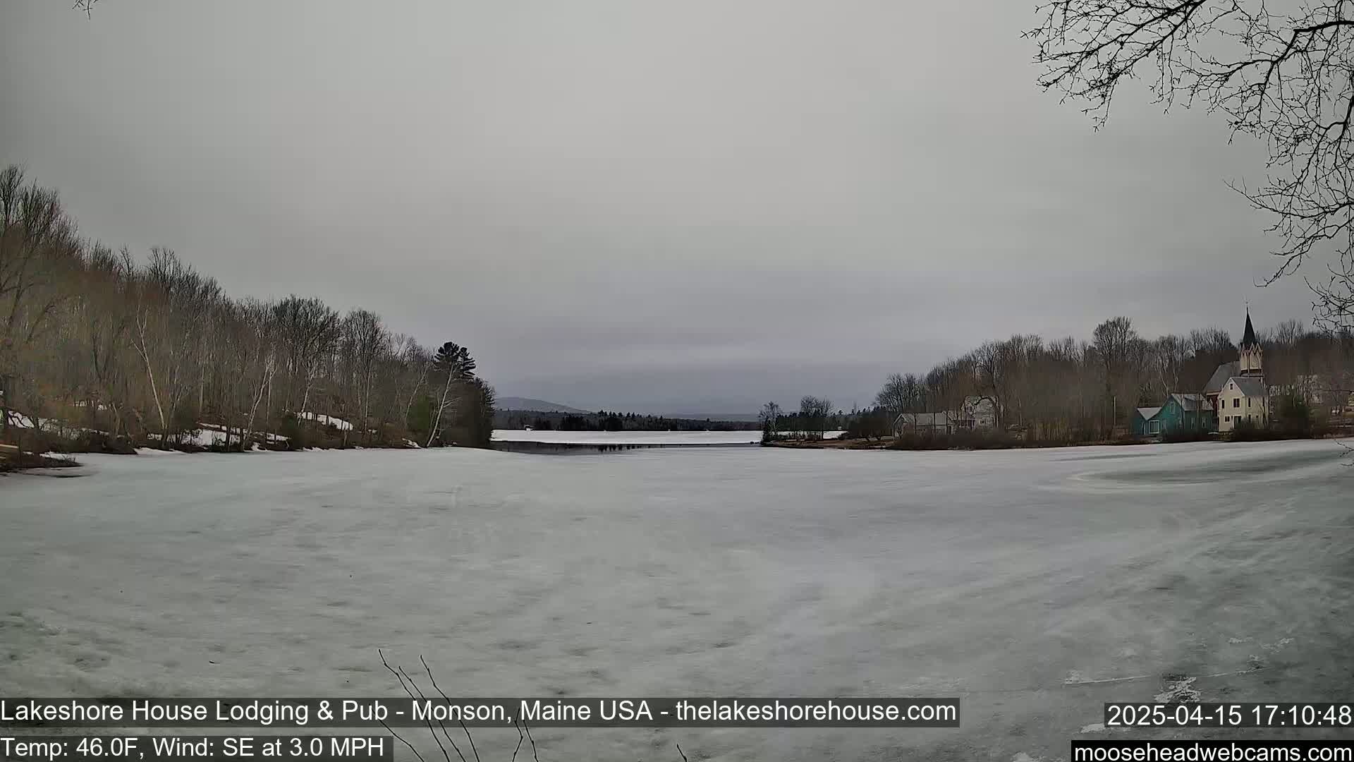 A frozen lake is visible, surrounded by bare trees and a few buildings under a gray sky.