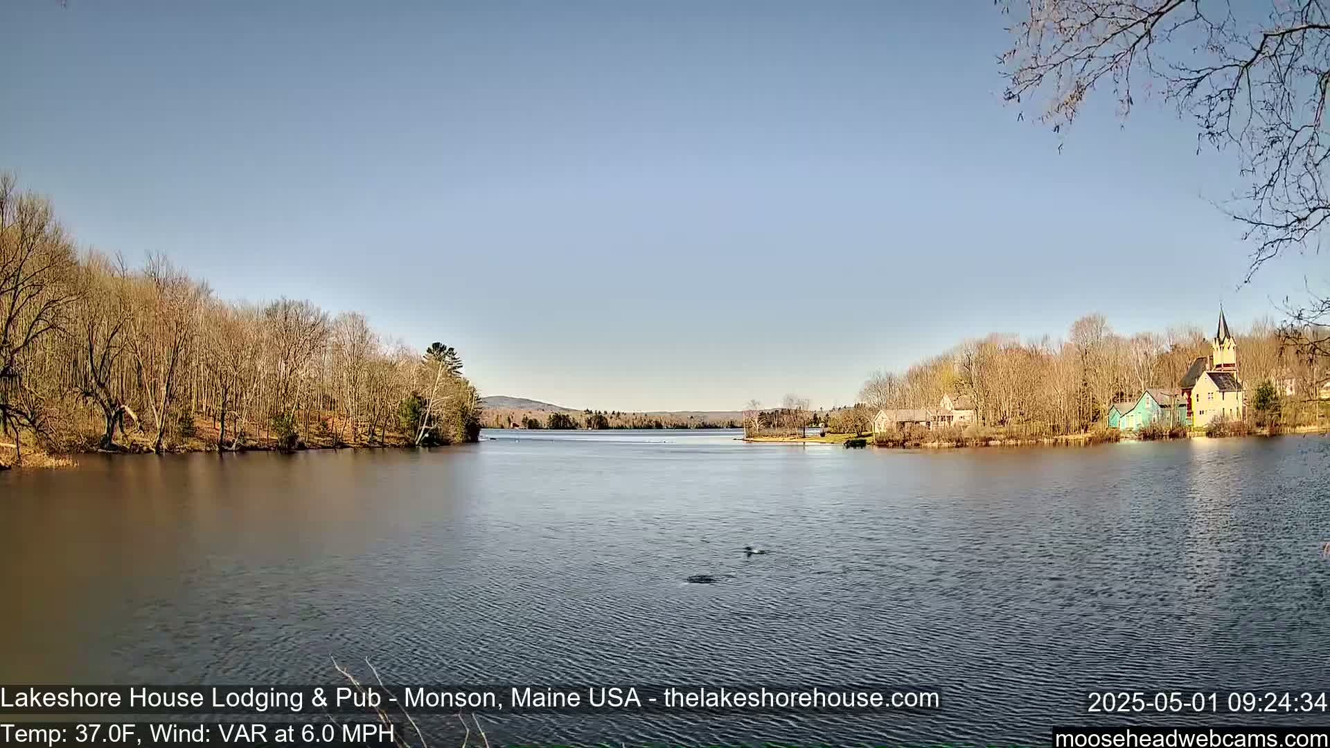 A calm lake is seen with bare trees lining the shores, a few buildings on the far side, and a clear blue sky above.