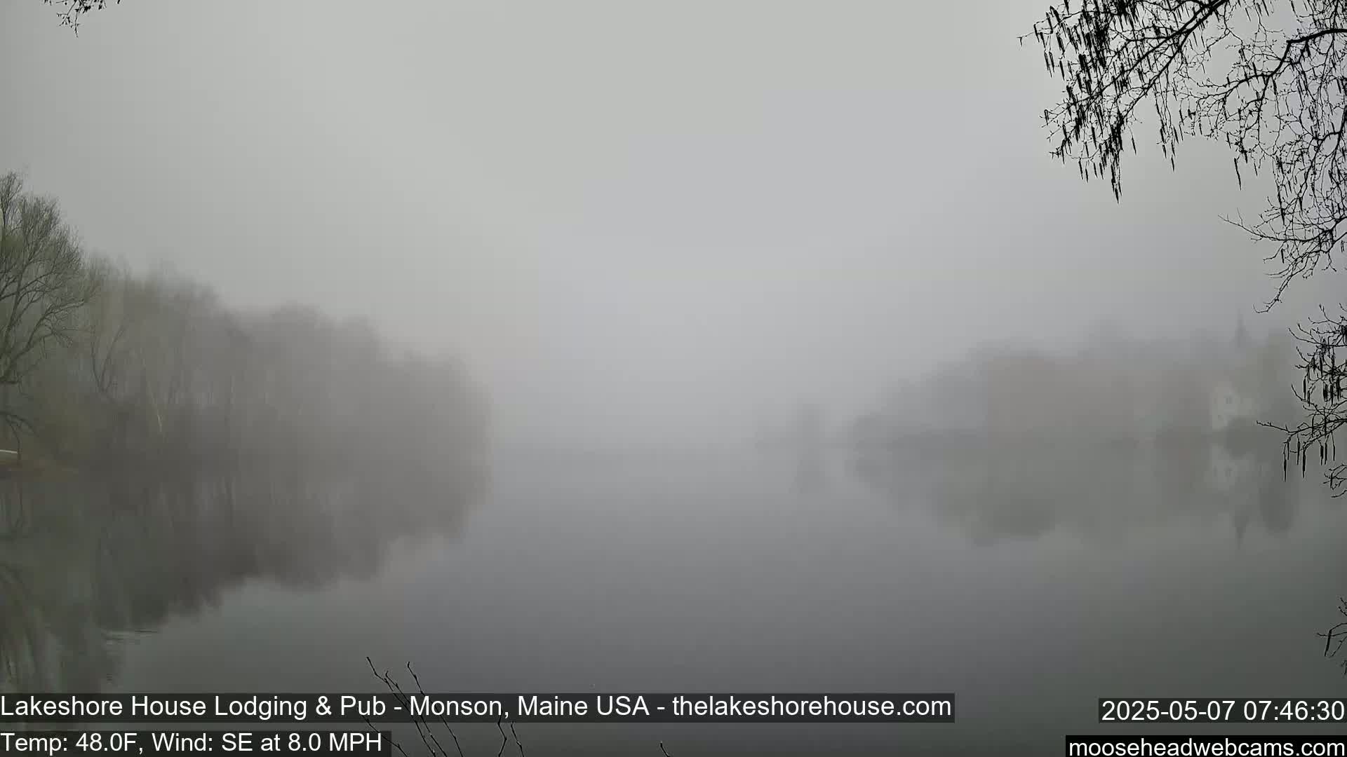 A foggy lake is seen, with trees and buildings barely visible in the distance, under a gray sky.