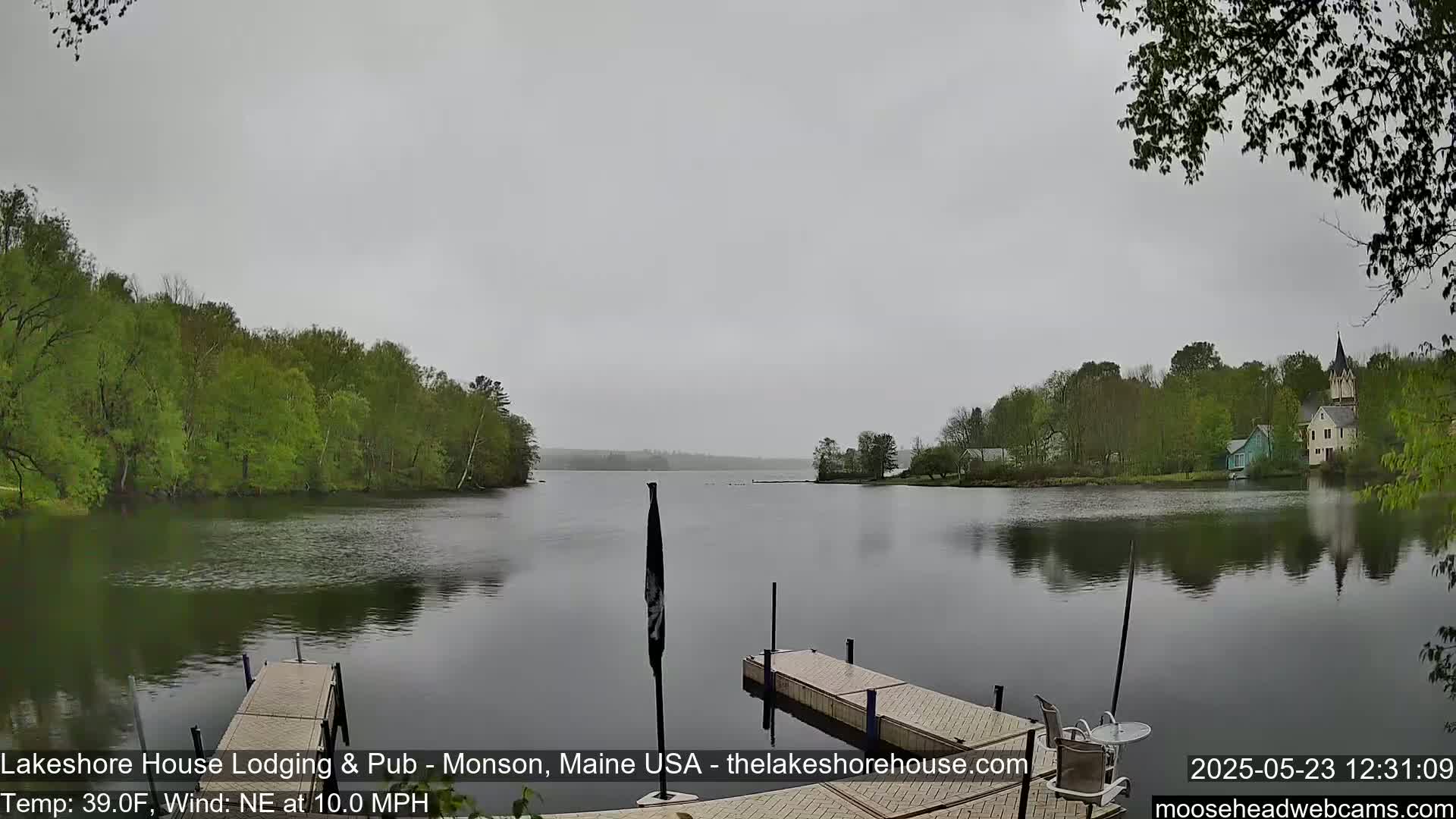 A calm lake under an overcast sky is seen from a dock, with green trees lining the shore and buildings visible in the distance.