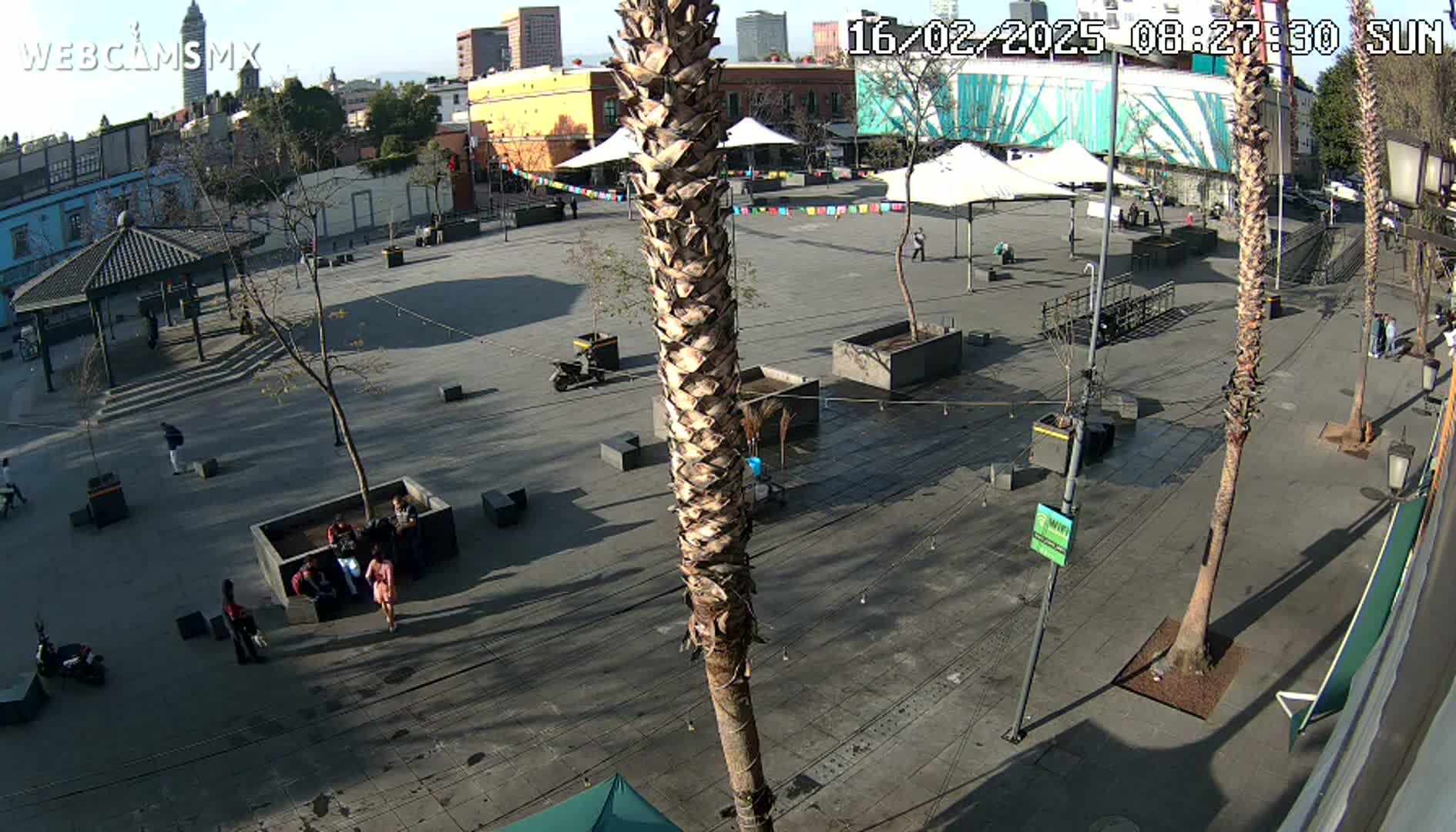A sunny plaza with palm trees, several people, and some small buildings in the background.